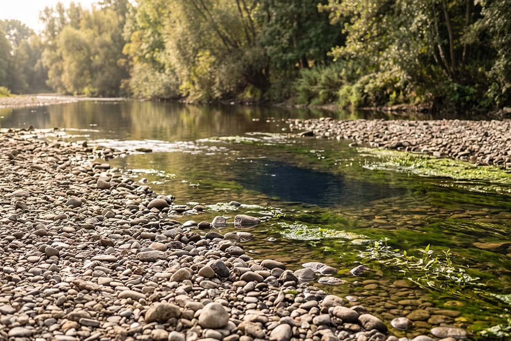 Niedriges Wasser, und was es zeigt